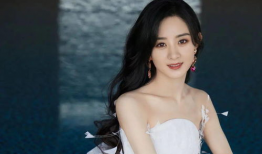 娱乐圈吃瓜大全pdf关于赵丽颖,娱乐圈的励志女神，从青涩到成熟的蜕变之路